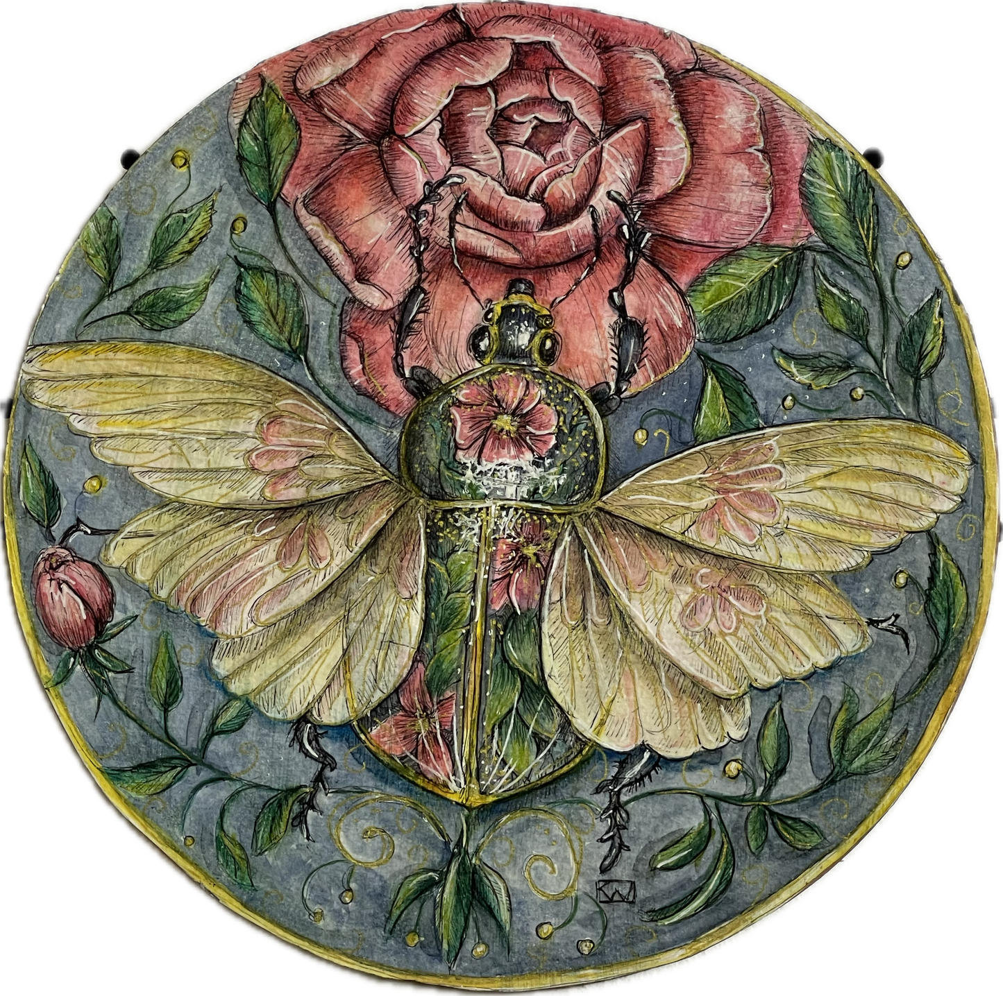 Peony beatle