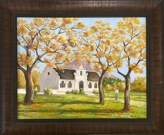 Autumn in Tygervalley I