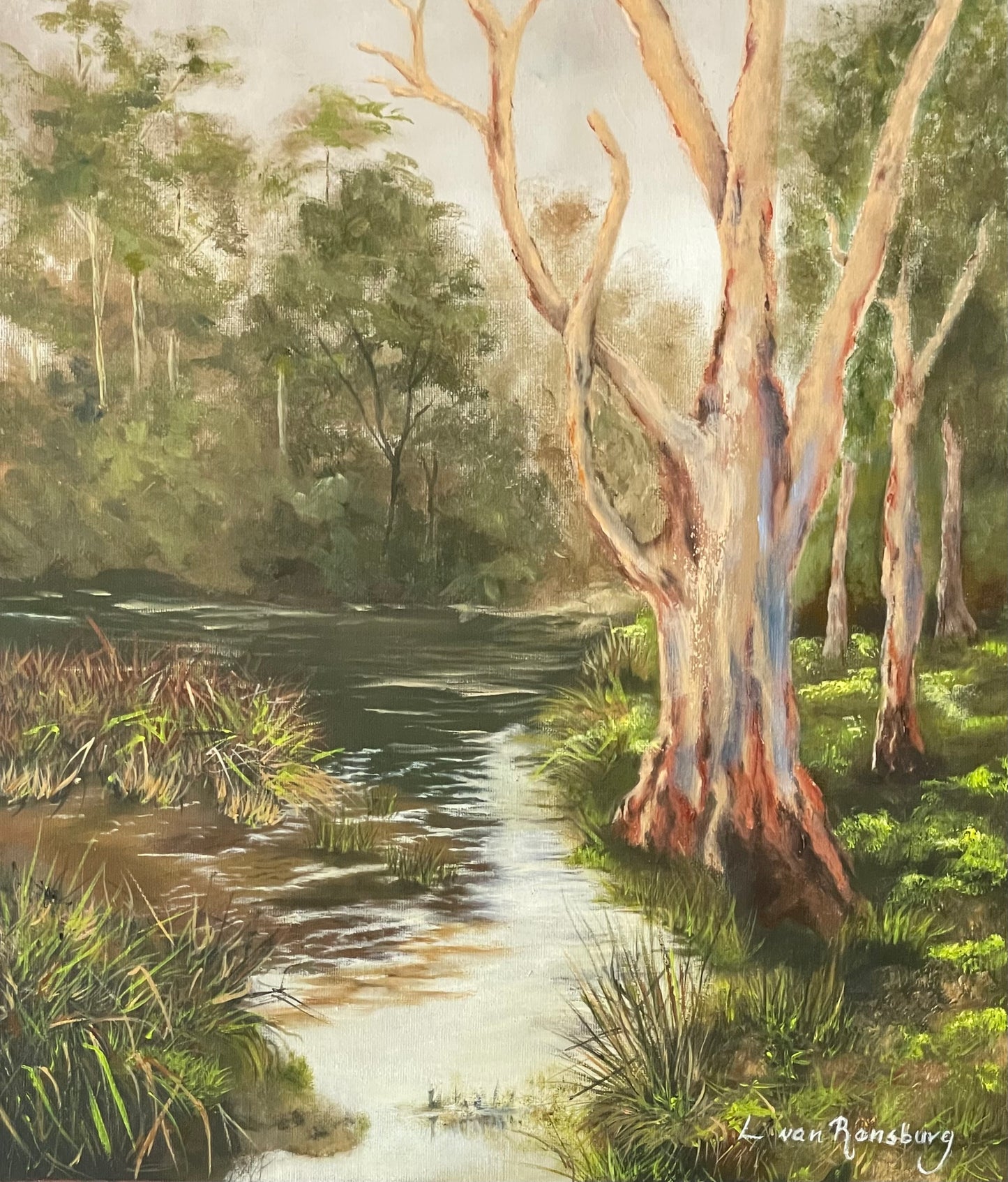 Murrey river