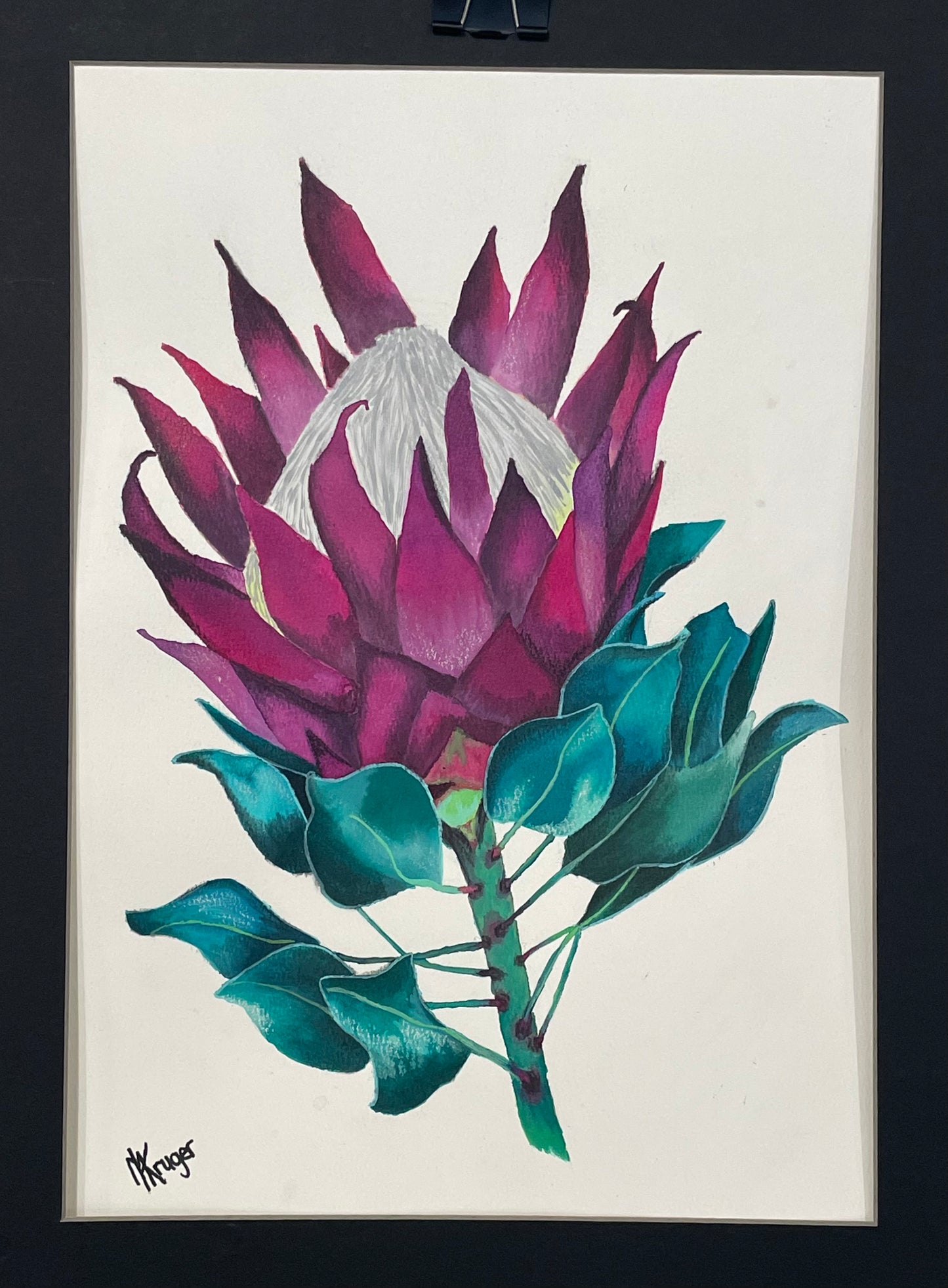 Protea my version of the sugar bushes (Diptych)