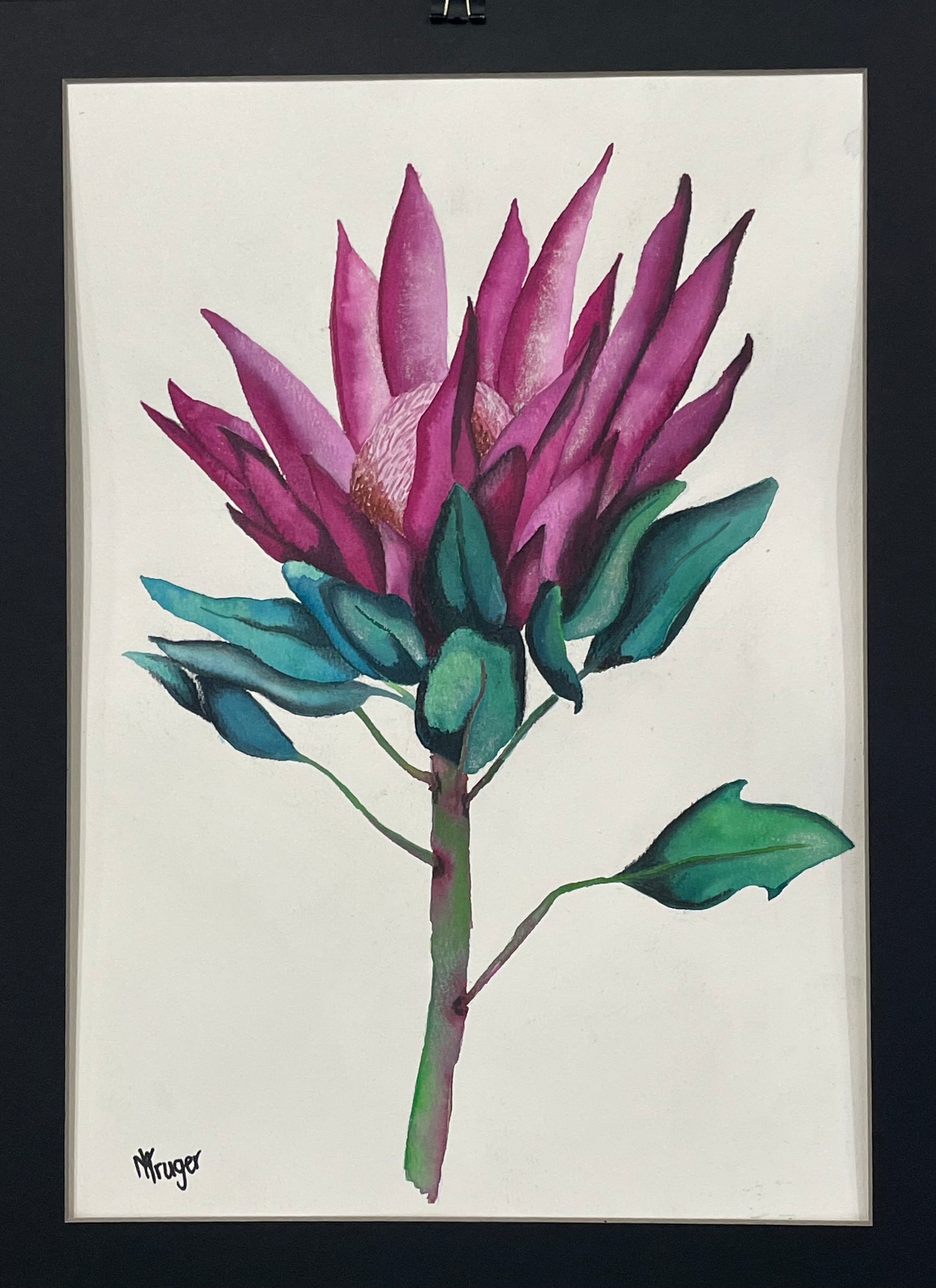 Protea my version of the sugar bushes (Diptych)
