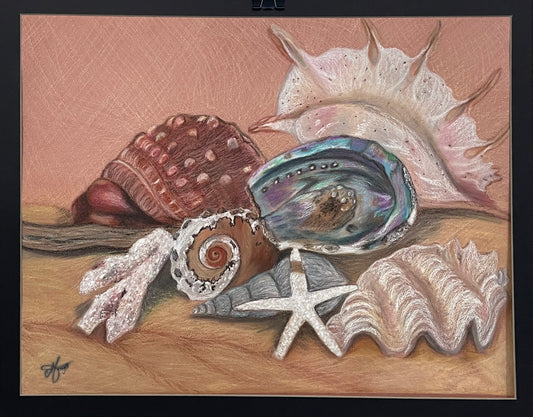 Shell dream escapes