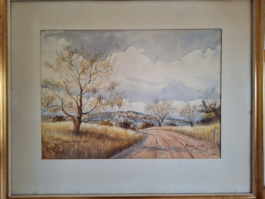 Kruger National Park - South African Landscape