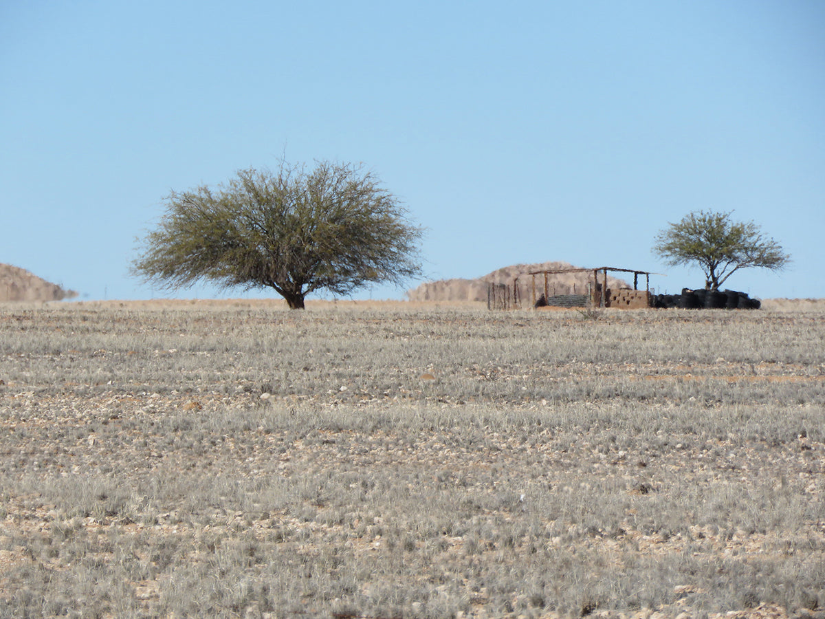 Mirage Melts into the Horizon