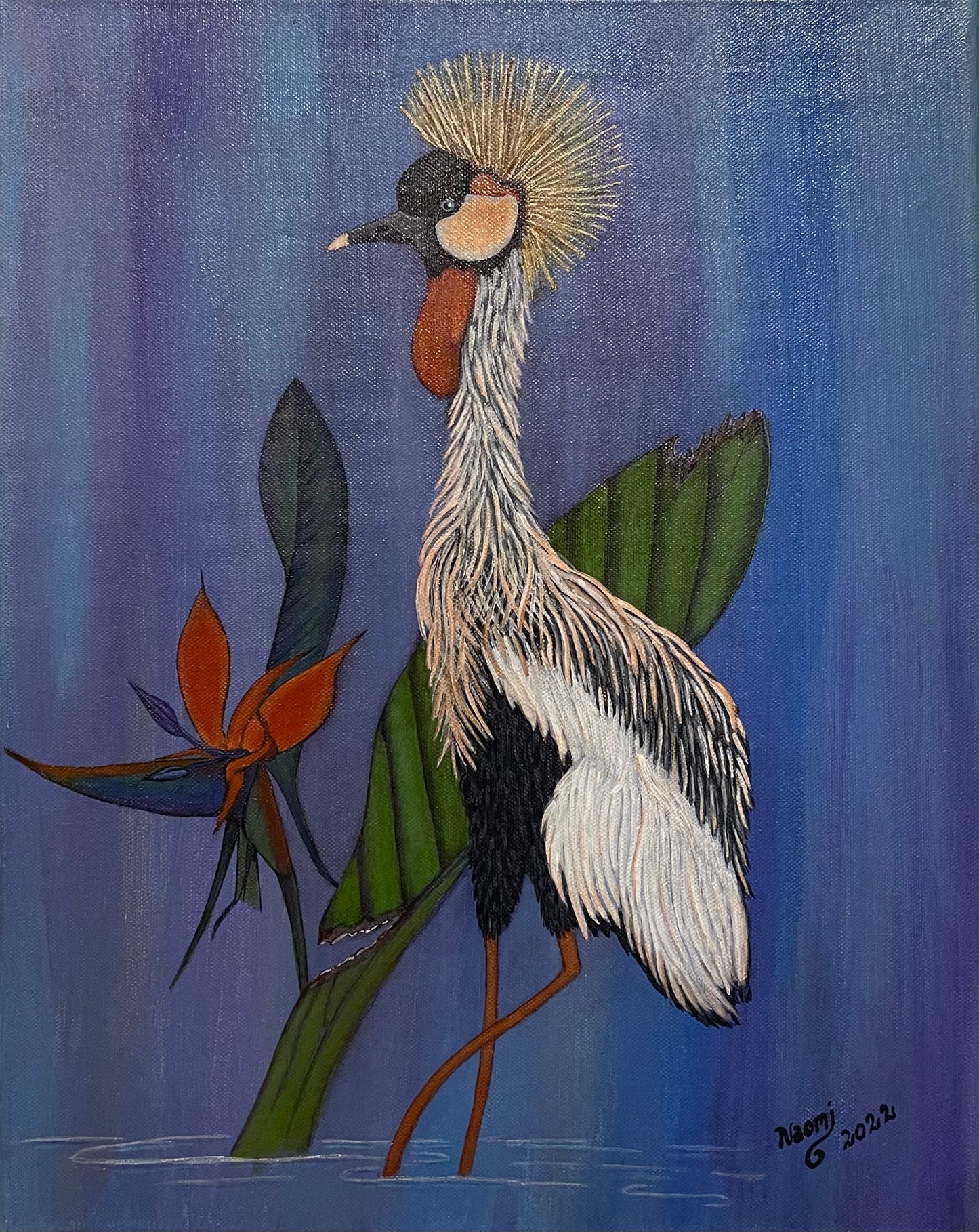 The crested crane