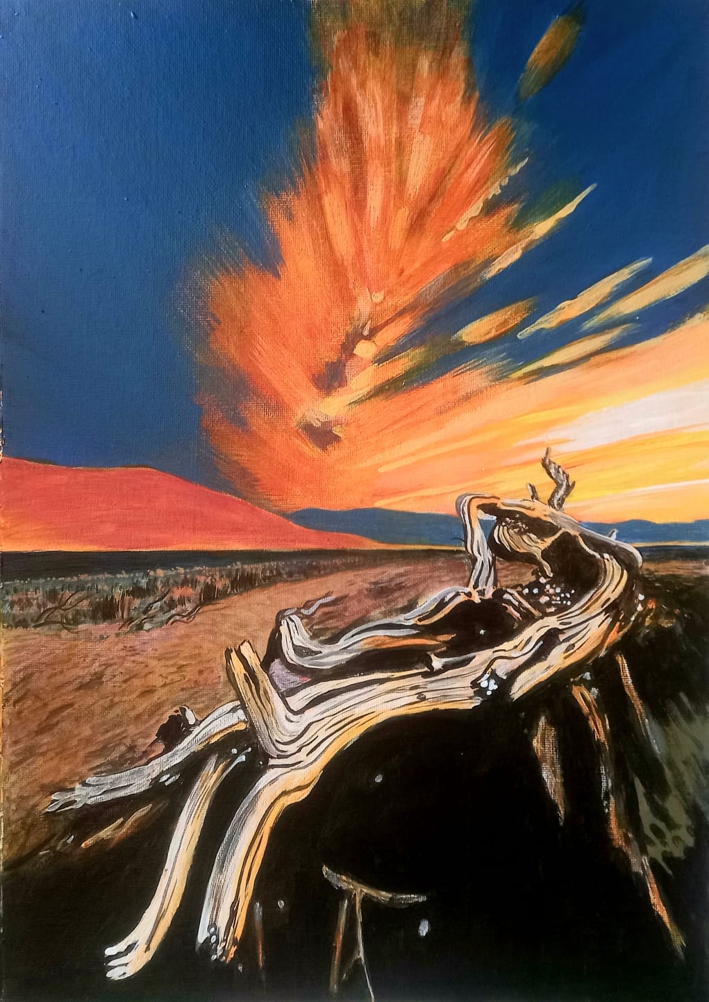Namibian Sunset