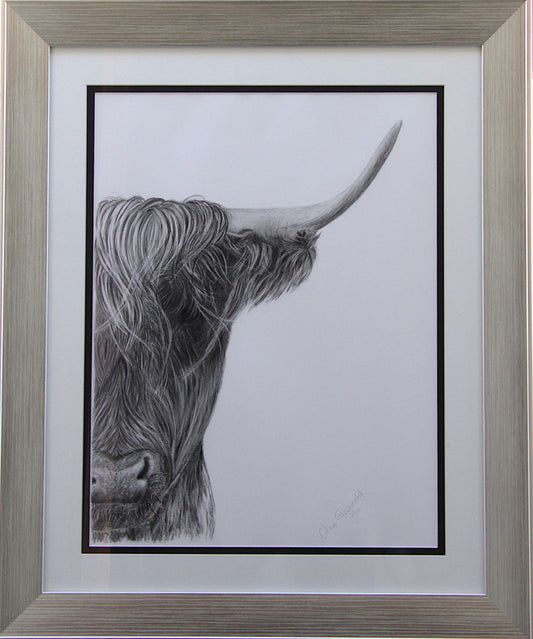 "No Bull" 2/100