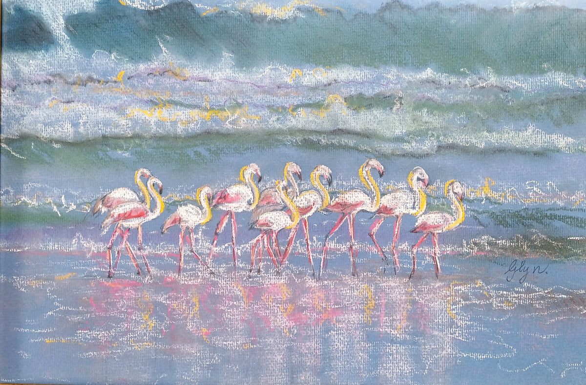 Pretty Flamingos