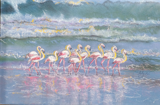 Pretty Flamingos