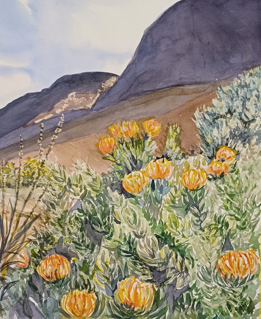 Pincushions