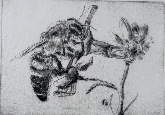 Pollinating
