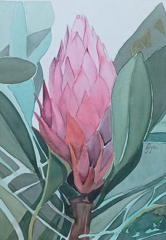 Pretty as a Protea