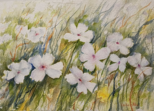 Purity