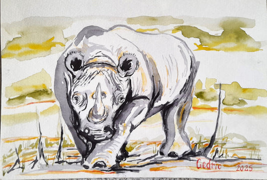 Rhino Horn