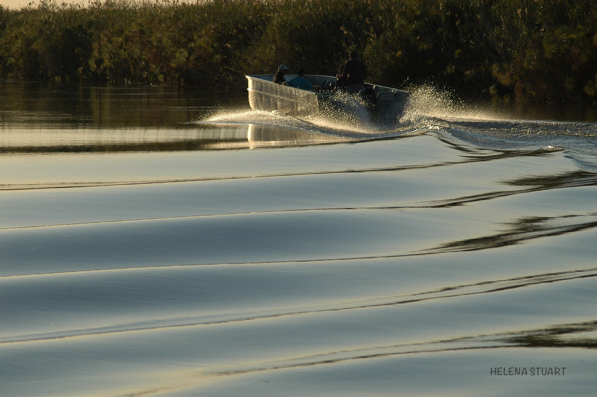 Ripples of the Okavango