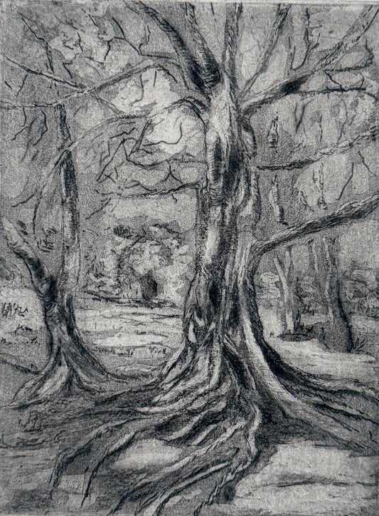 Roots