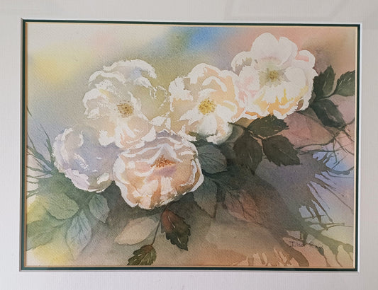 Rose (Roses)