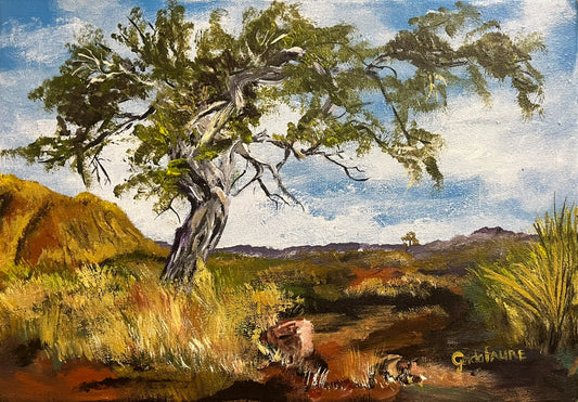 Windblown Tree