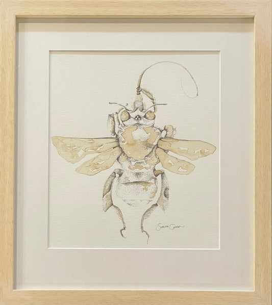 Orchid bee