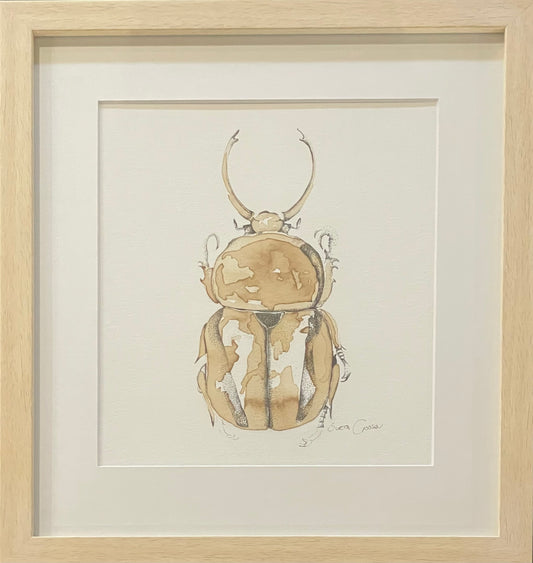 Caliper beetle