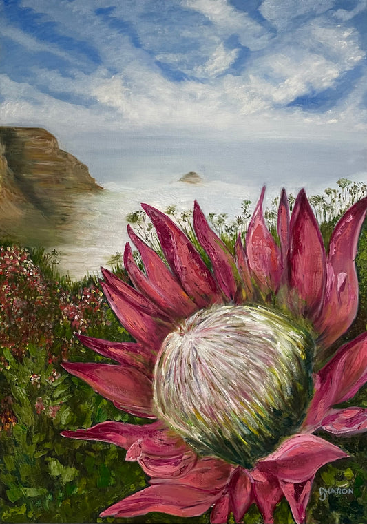 Kaapse protea