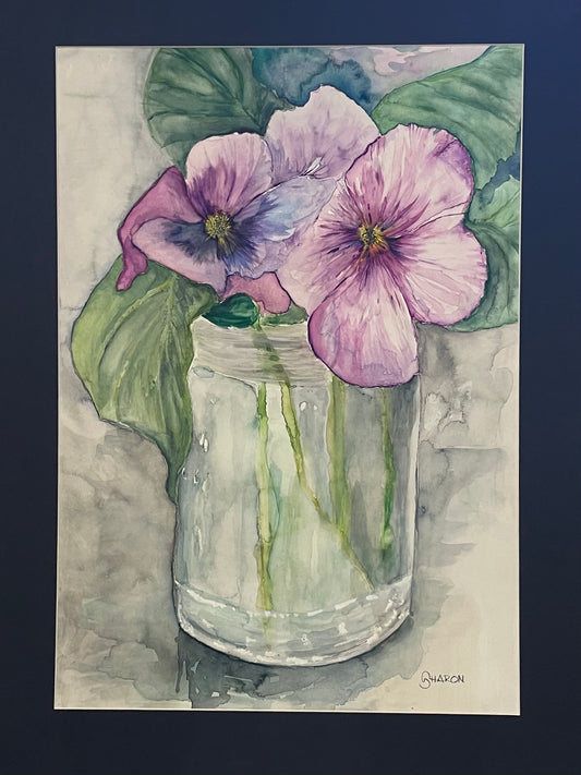 Pansies in pink