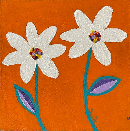 2 Daisies