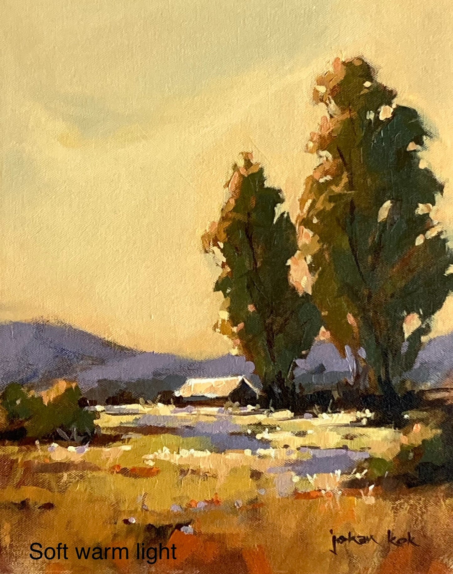 Soft Warm Light