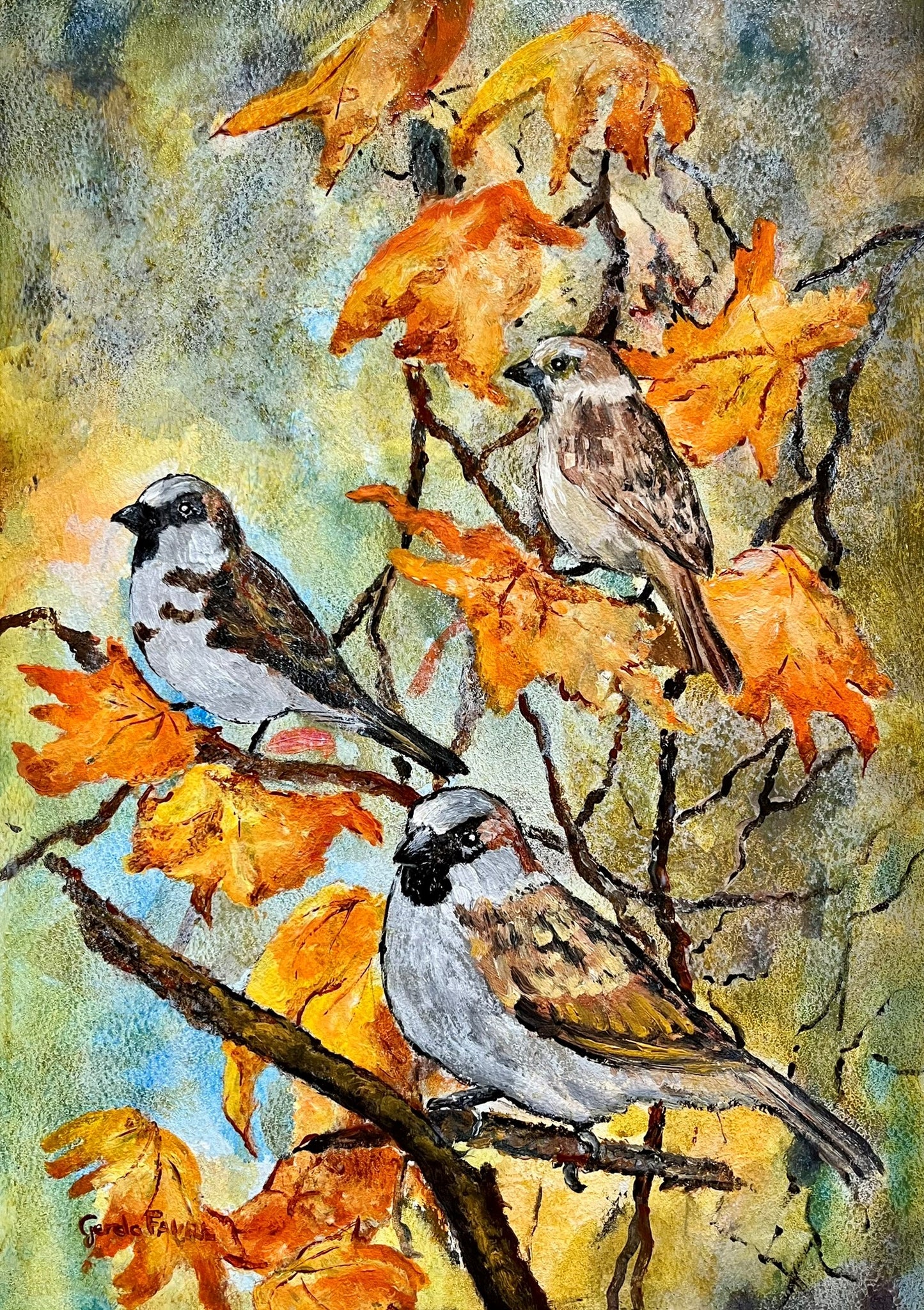 Sparrows
