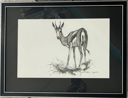 Springbok 7 Alert