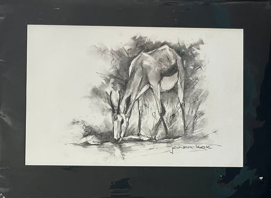 Springbok 1 Grazing