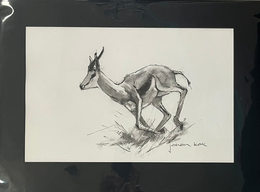Springbok 3 On the Run