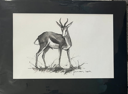 Springbok 6 Lookout