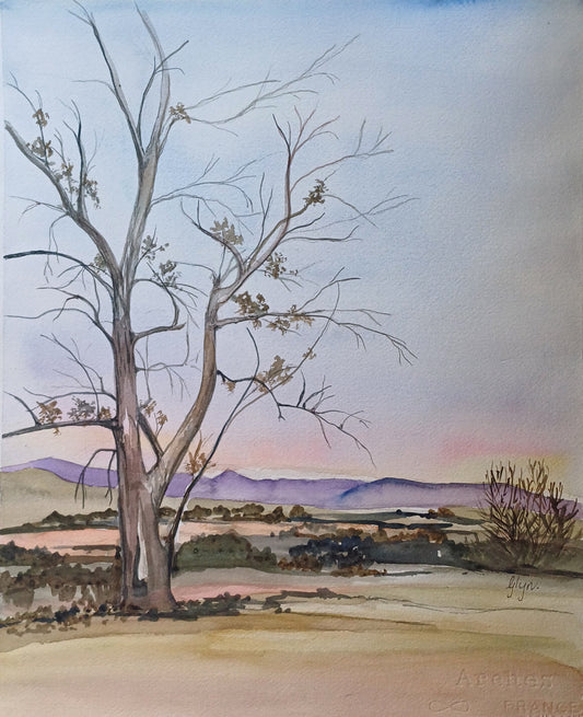 Summer in the Karoo