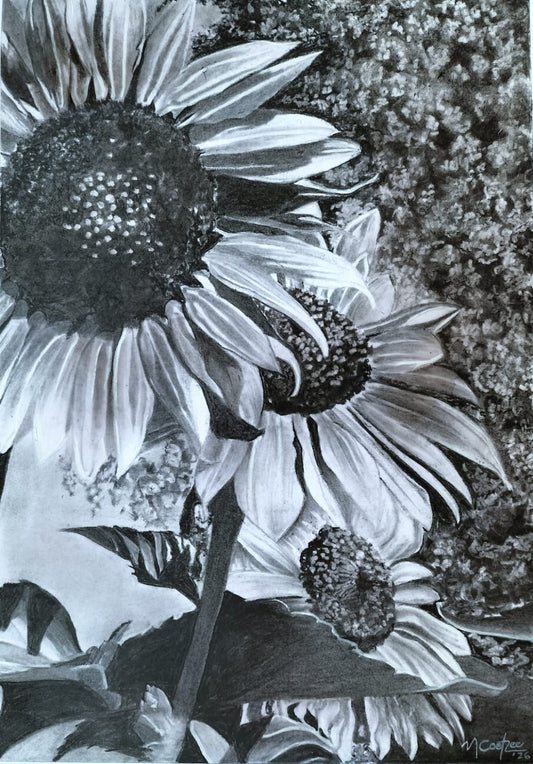 Sunflowers without Sun (Sonneblomme sonder Son)