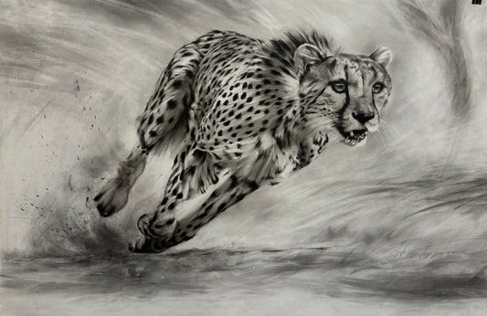 The Wild