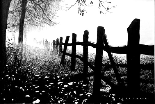 Vanishing Lines