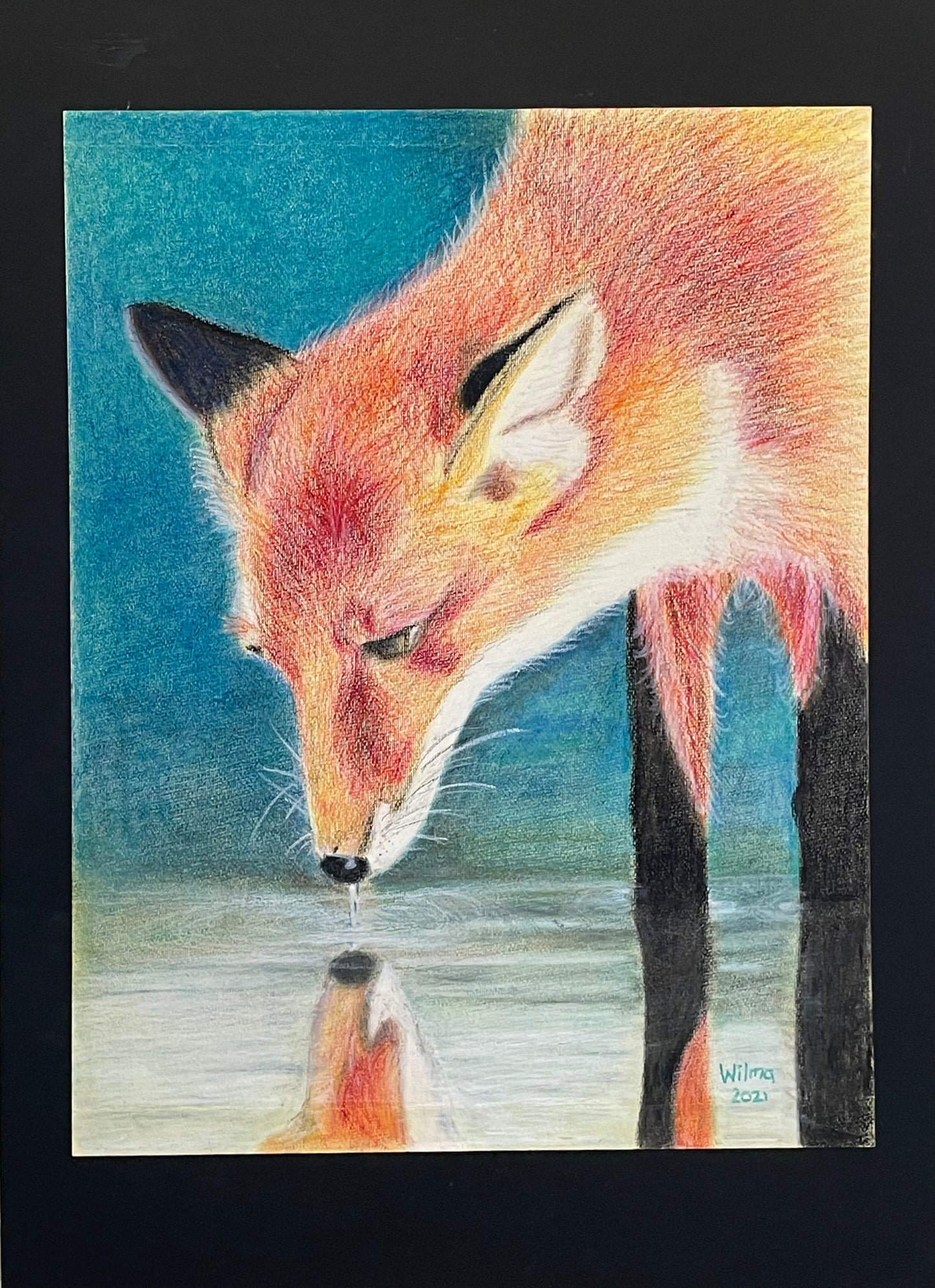Fox refelction