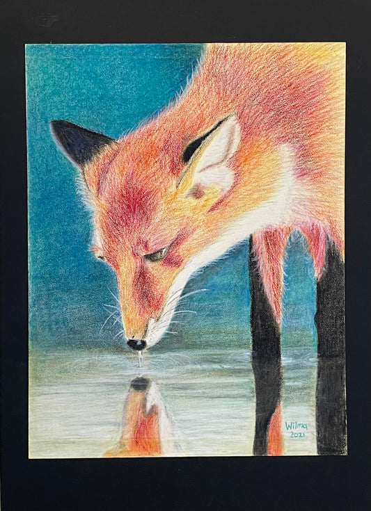 Fox refelction