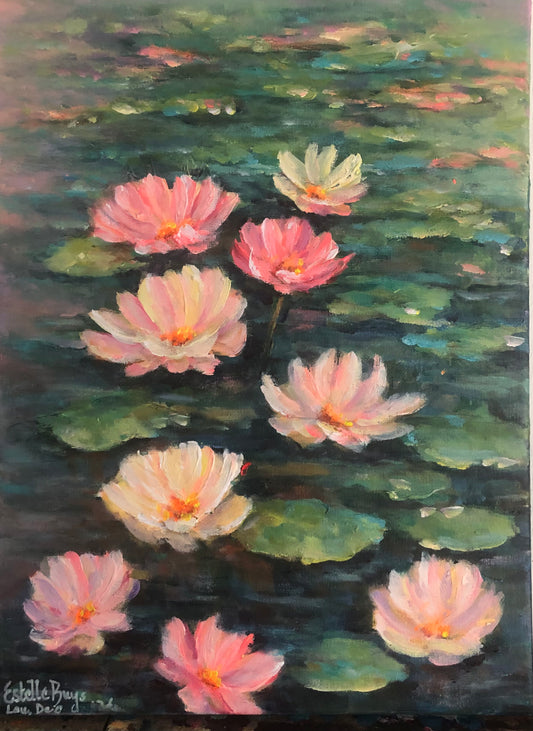 Waterlelies (water lilies)