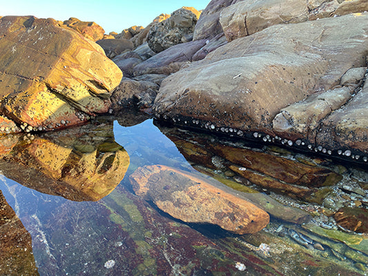 Where Rock and Water Meet