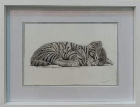 Whiskered Dreams