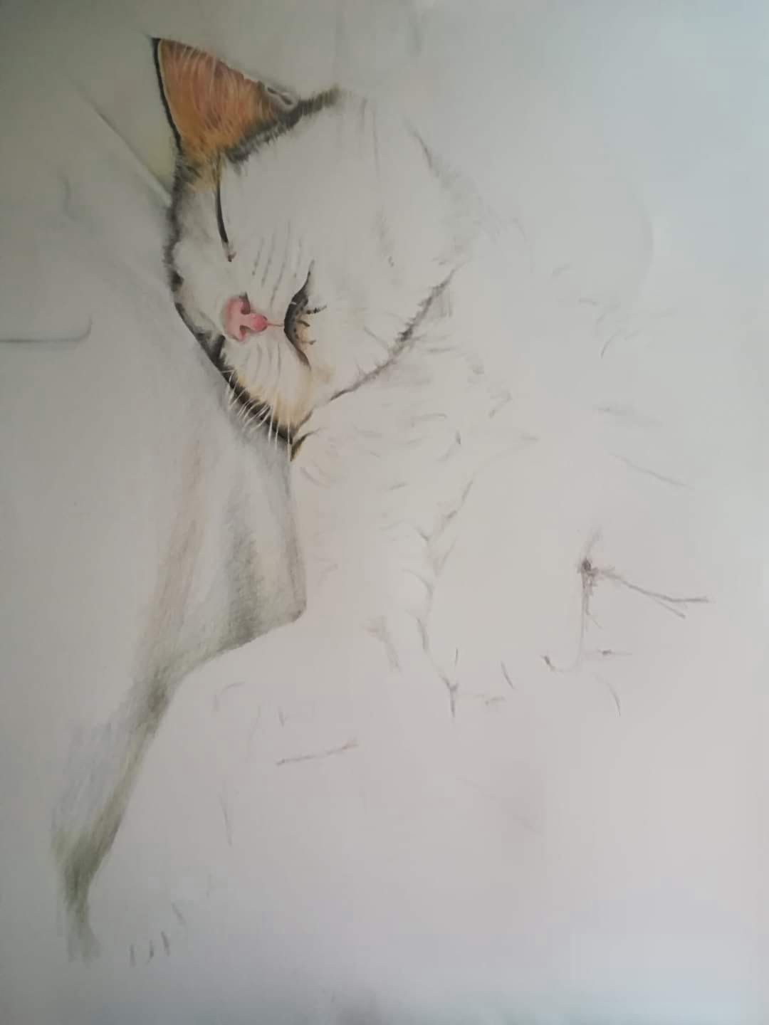 White on White
