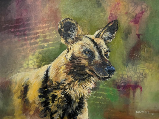 Wild Dog