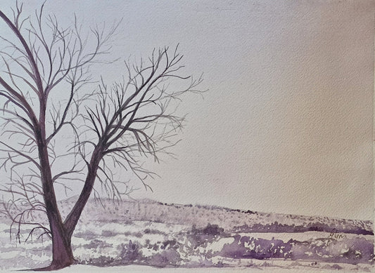 Winter in the Karoo