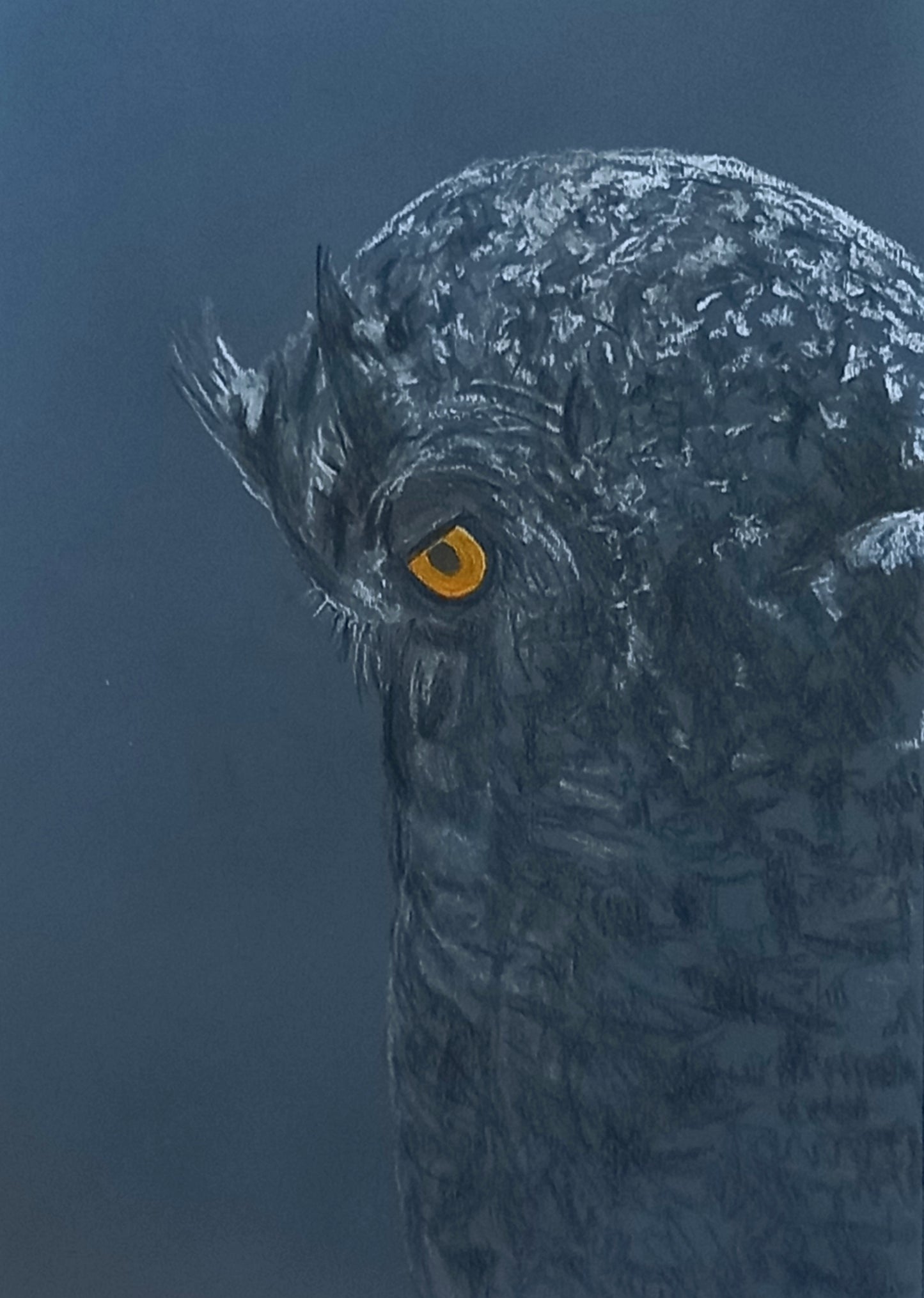 Wise Owl