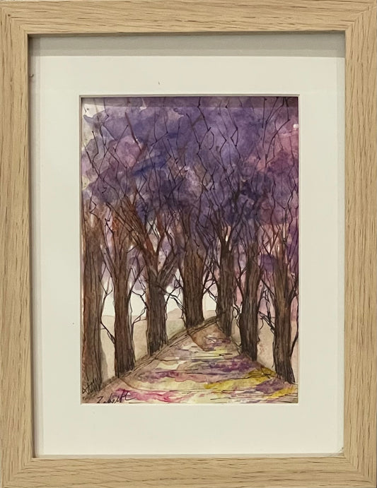 Jacaranda forest