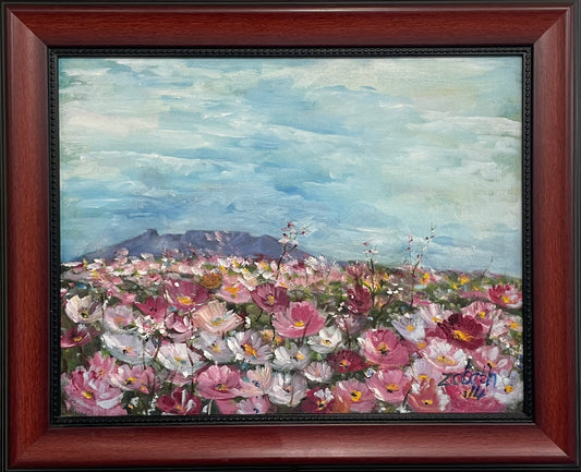 Cosmos in Ficksburg