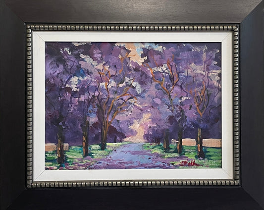 Jacarandas in Brooklyn