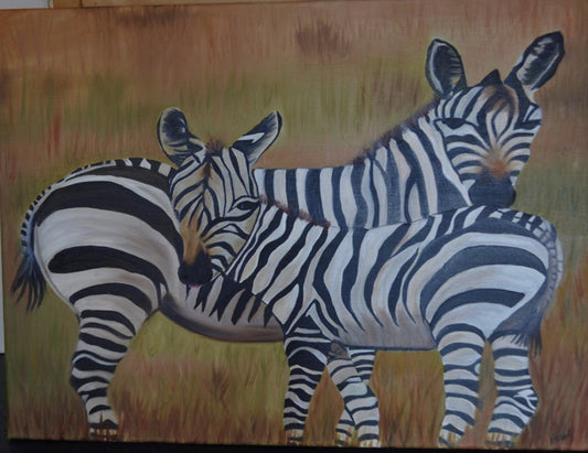 Zebra Family